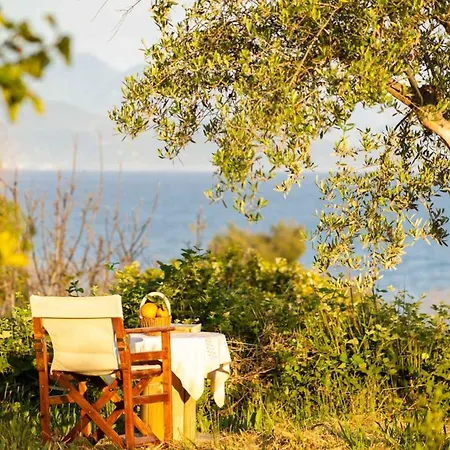 Sunny One - Charming Garden Nest Апартаменты