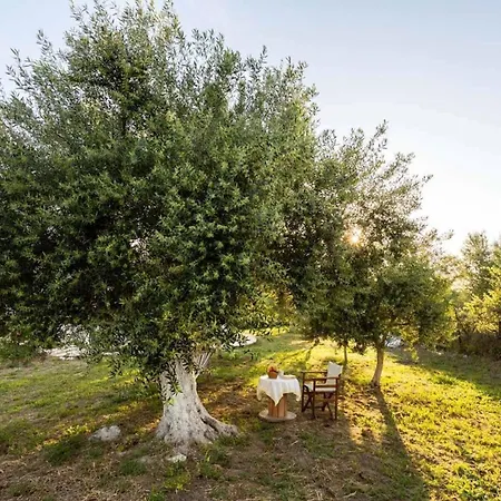 Sunny One - Charming Garden Nest Петалидион