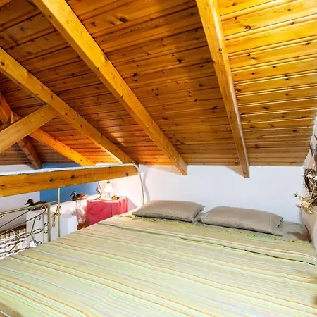 Sunny One - Charming Garden Nest *