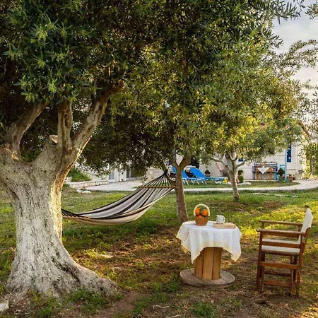 Sunny One - Charming Garden Nest Петалидион