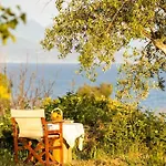 Sunny One - Charming Garden Nest Apartamento