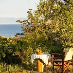 Sunny One - Charming Garden Nest