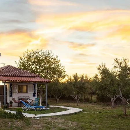 Sunny One - Charming Garden Nest Appartamento