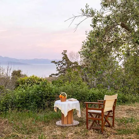 Sunny One - Charming Garden Nest Appartamento Petalídhion