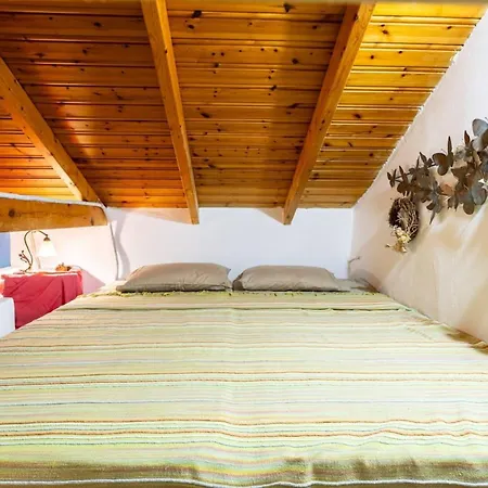 Sunny One - Charming Garden Nest