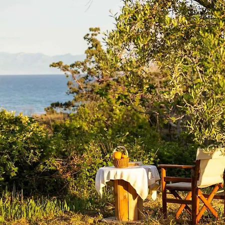 Sunny One - Charming Garden Nest