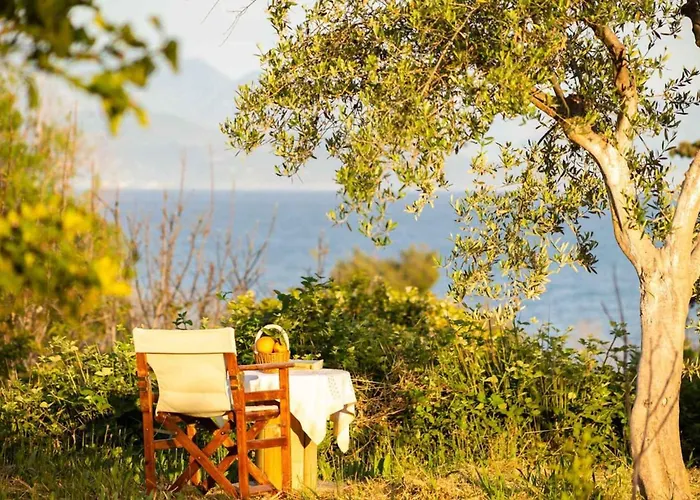 Sunny One - Charming Garden Nest Apartment