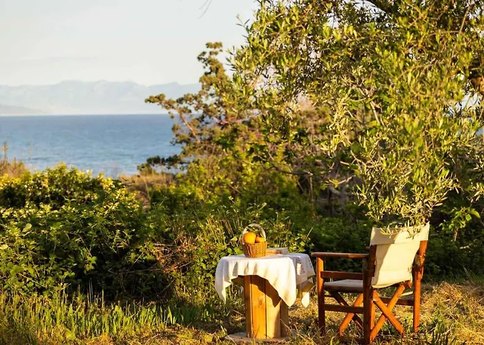 Sunny One - Charming Garden Nest